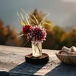 Glamping Gril بيت للعطل *