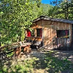 Glamping Gril *