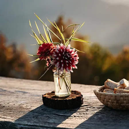 Glamping Gril Casa vacanze *