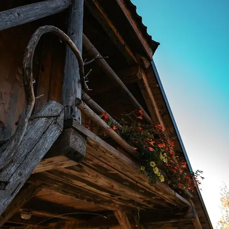 Glamping Gril Ljubno