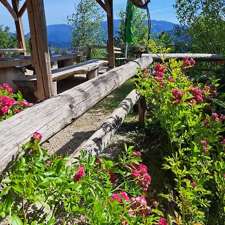 Turizem Drobez Ljubno