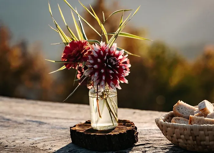 Glamping Gril Vakantiehuis *